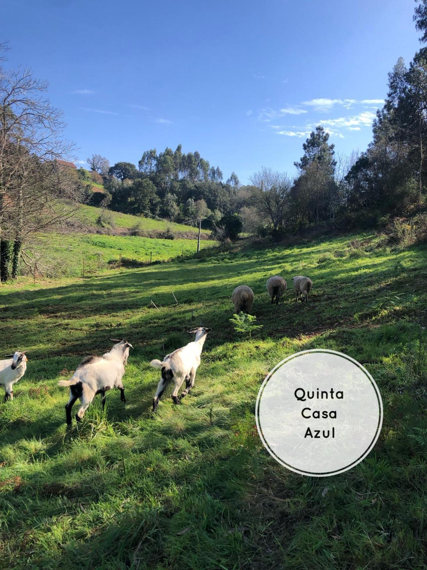 Quinta Da Casa Azul Villa Obidos Bagian luar foto